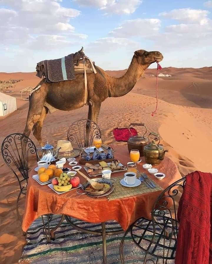 Merzouga Morocco travel guide