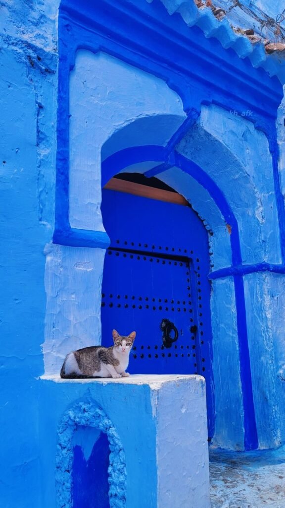 Chefchaouen Blue City Tour – The Best Moroccan Experience