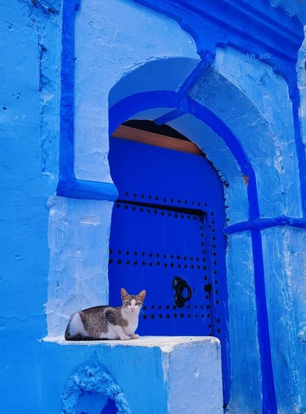 Chefchaouen Blue City Tour – The Best Moroccan Experience