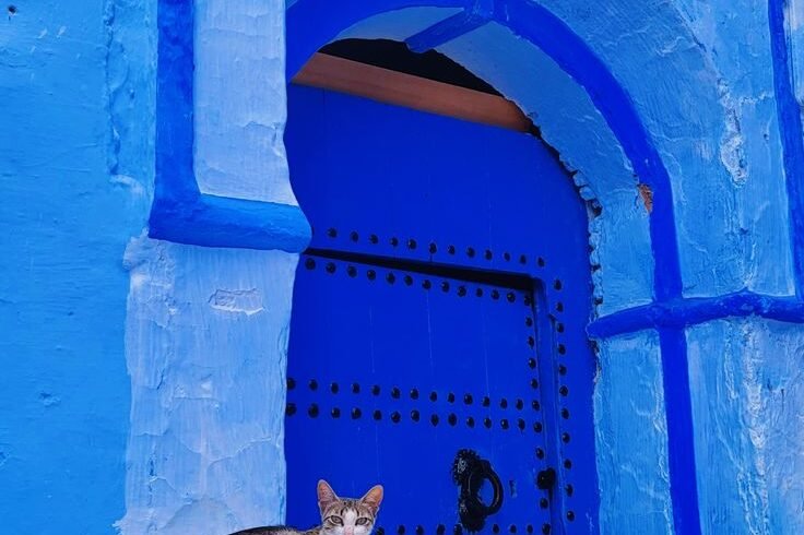 Chefchaouen Blue City Tour – The Best Moroccan Experience