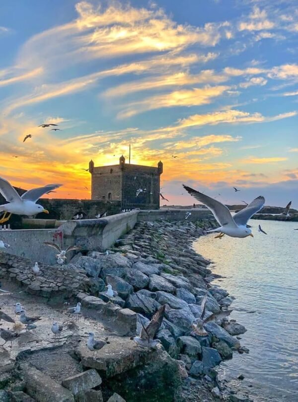 MOROCCO on Instagram_ “Sunset over the Fishing… (2)