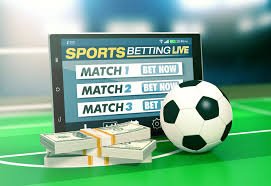 1xBet A Plataforma de Apostas que Revoluciona o Jogo Online 334552816