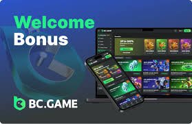 Understanding BC.Game Bonus Terms & Conditions Understanding BC.Game Bonus Terms & Conditions